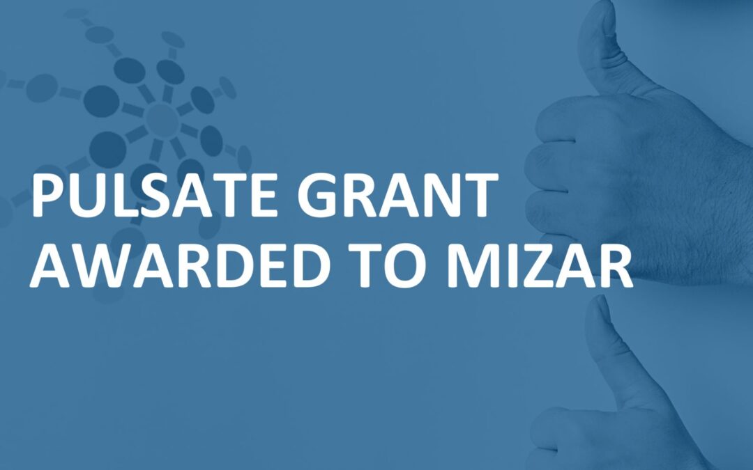 Mizar awarded Pulsate Grant